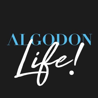 ALGODàN WINE ESTATES - Instagram Profile