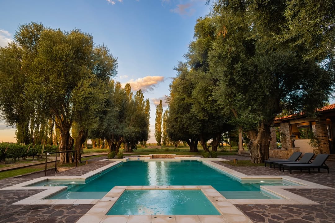 ALGODàN WINE ESTATES - Instagram Post