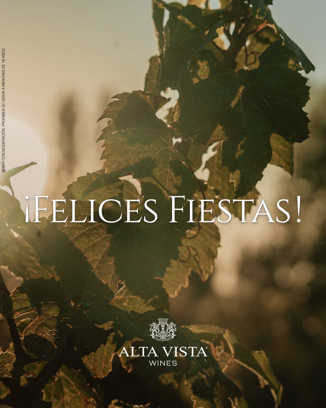 ALTA VISTA - Instagram Post