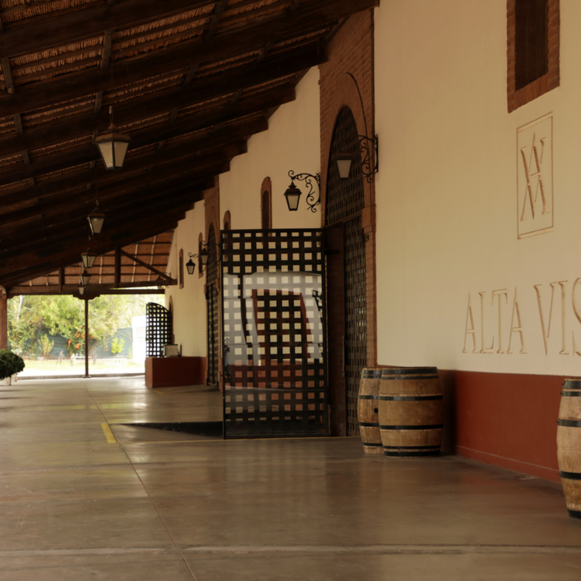 ALTA VISTA