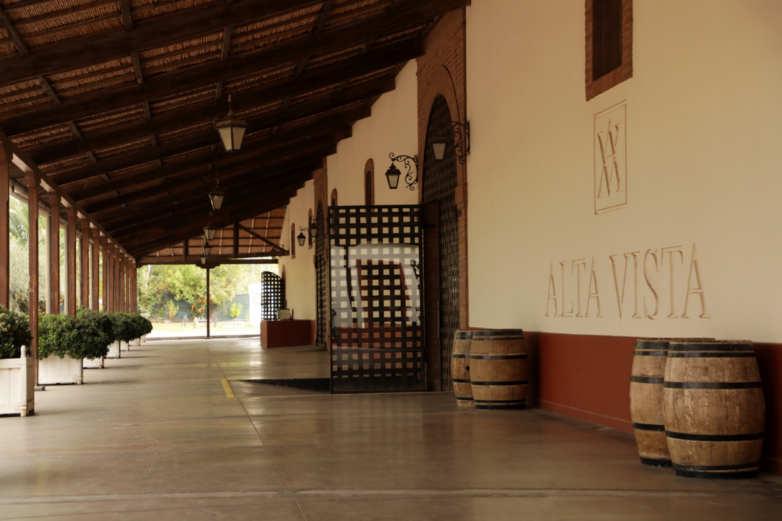 Alta Vista