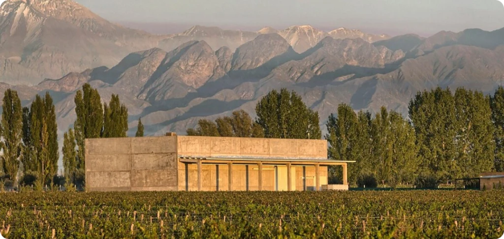 BODEGA A16
