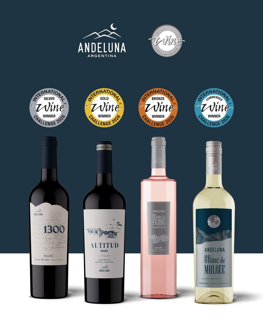 BODEGA ANDELUNA - Instagram Post