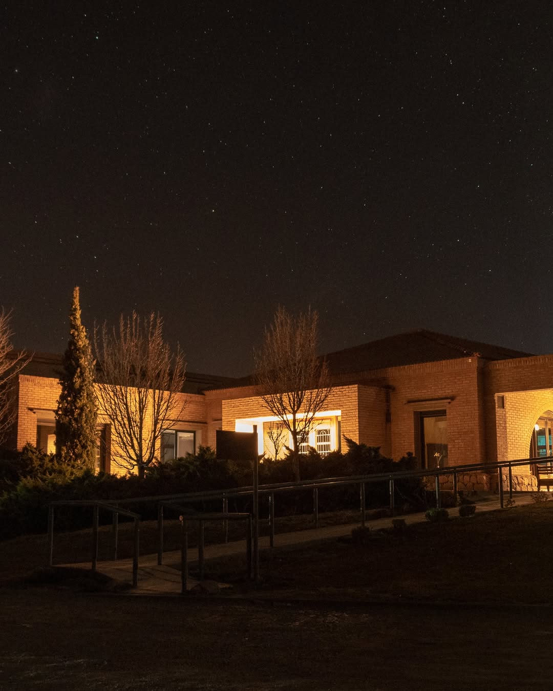 BODEGA ANDELUNA - Instagram Post
