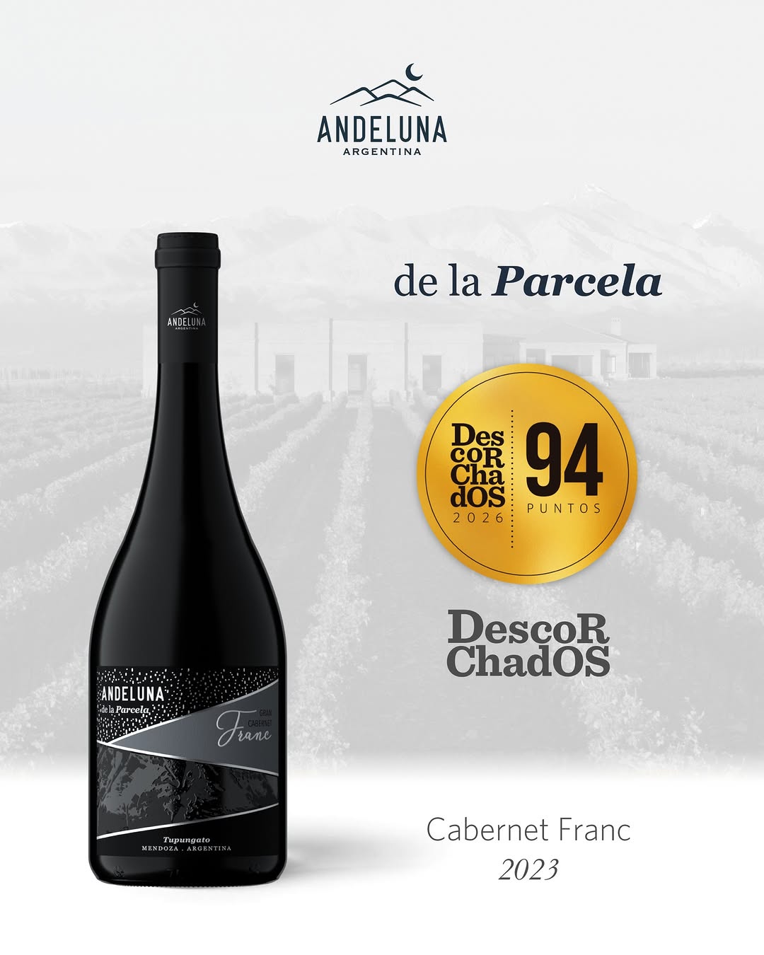 BODEGA ANDELUNA - Instagram Post