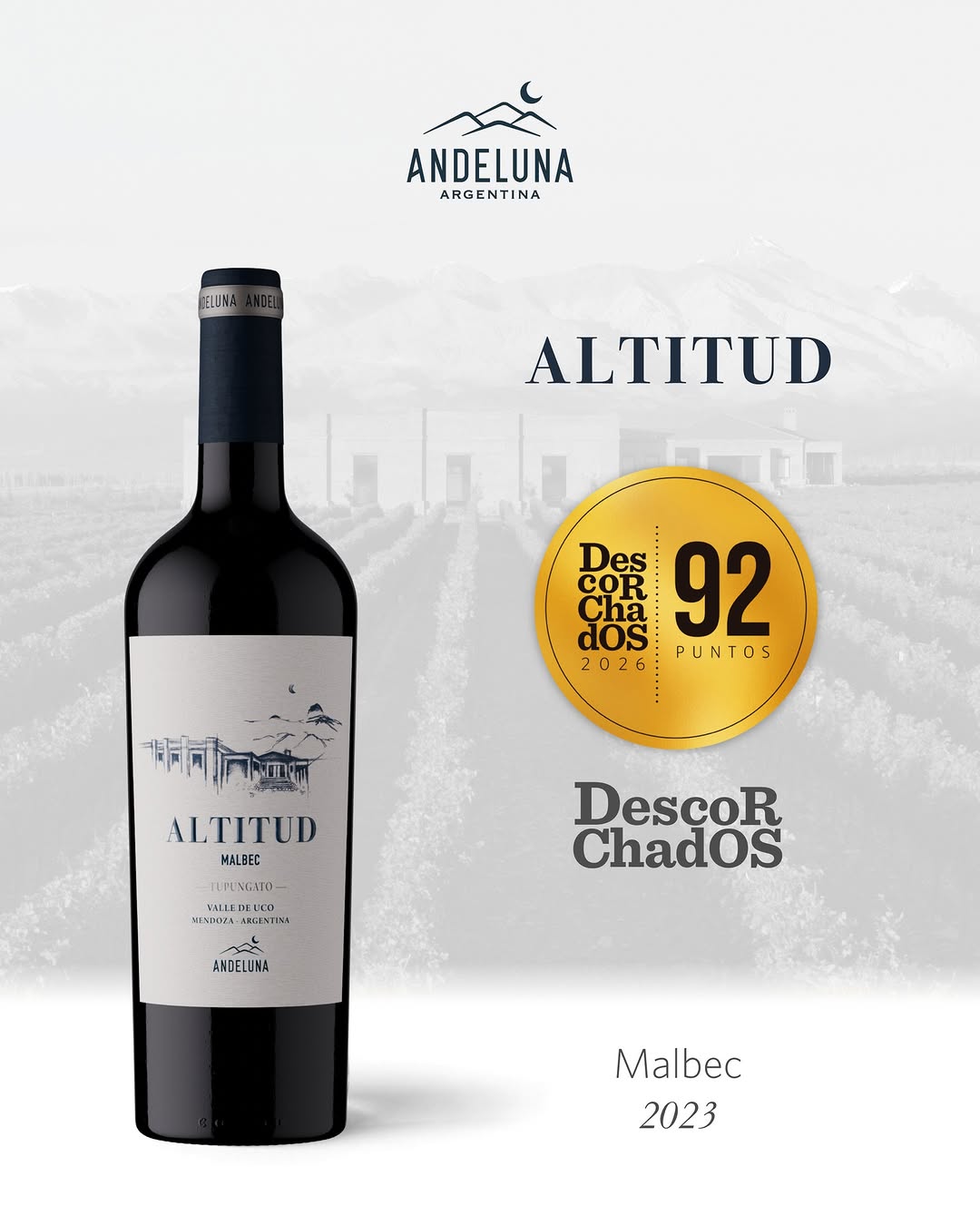 BODEGA ANDELUNA - Instagram Post