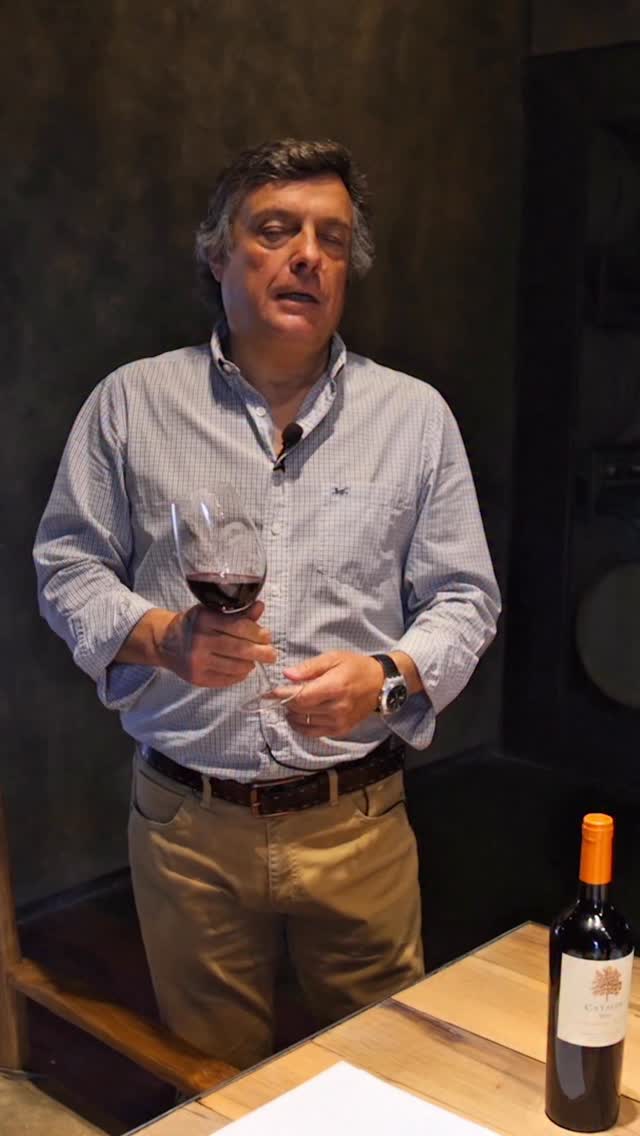 BODEGA ATAMISQUE - Instagram Post