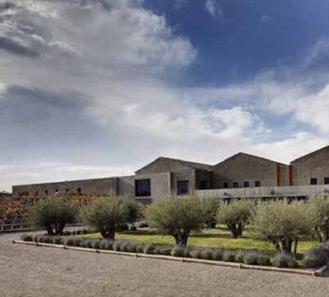 BODEGA ATAMISQUE