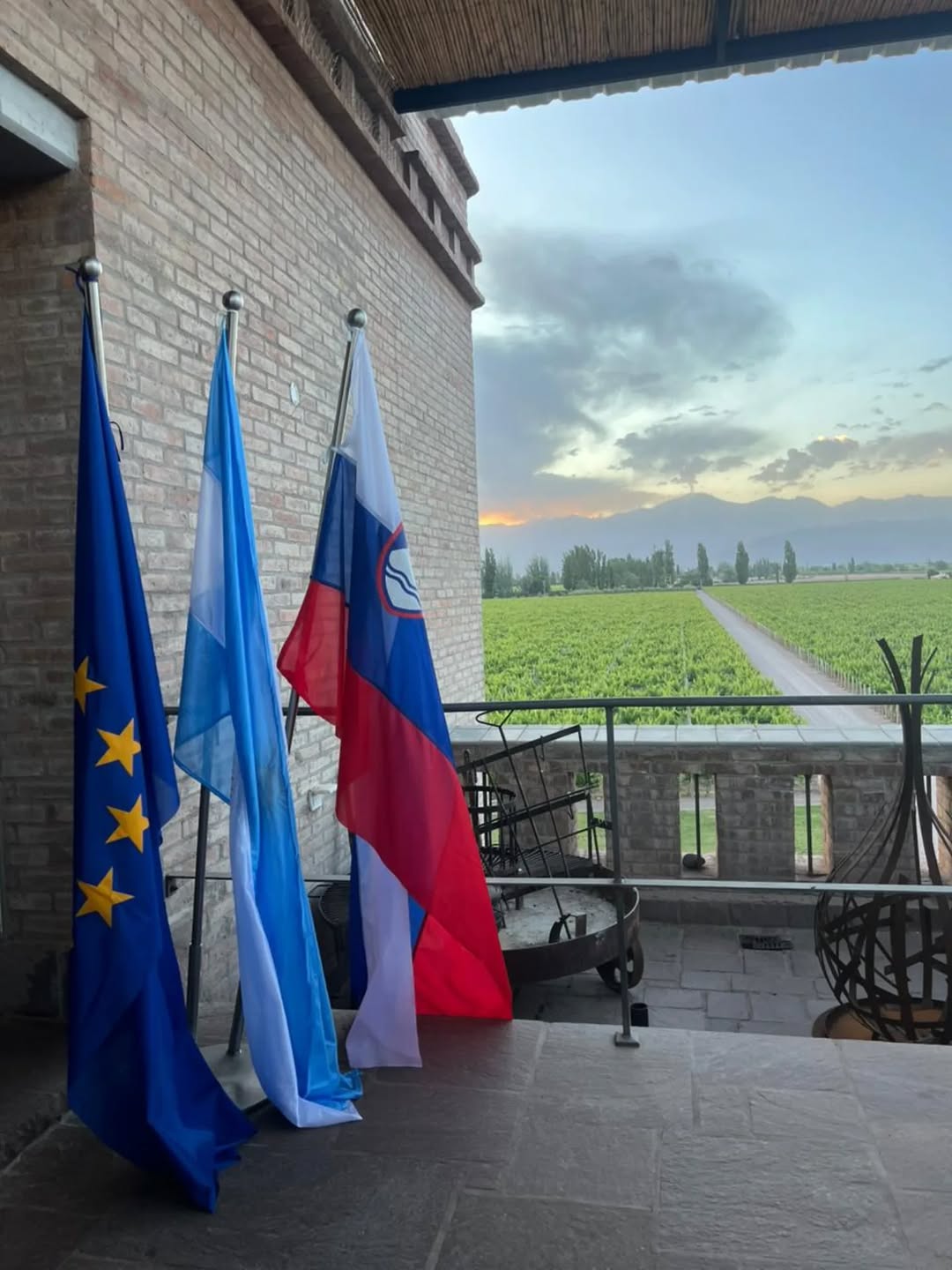 BODEGA BELASCO DE BAQUEDANO - Instagram Post