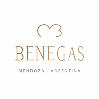 BODEGA BENEGAS - Instagram Profile
