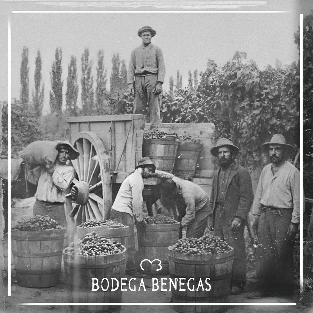 BODEGA BENEGAS - Instagram Post