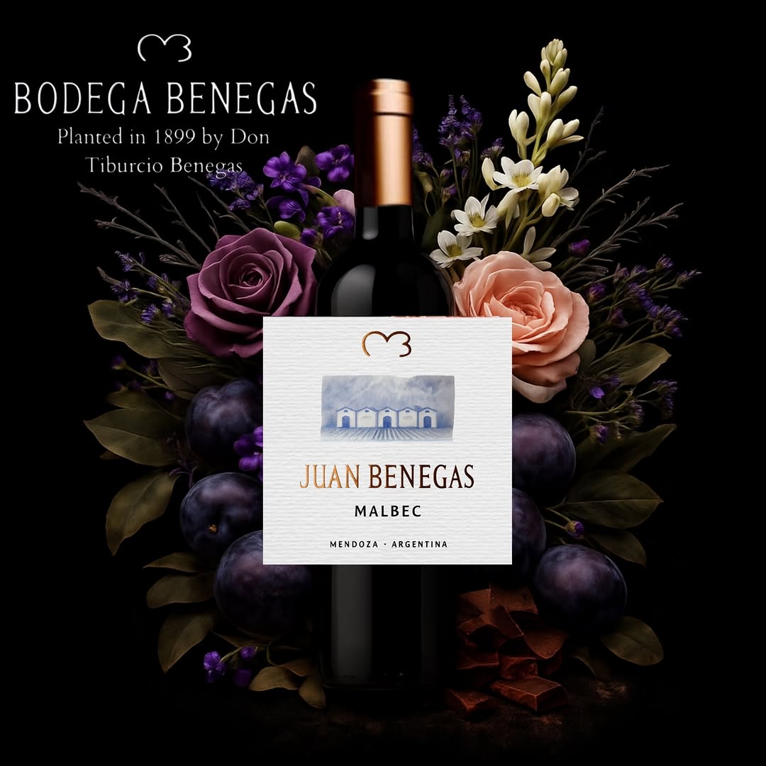 BODEGA BENEGAS - Instagram Post