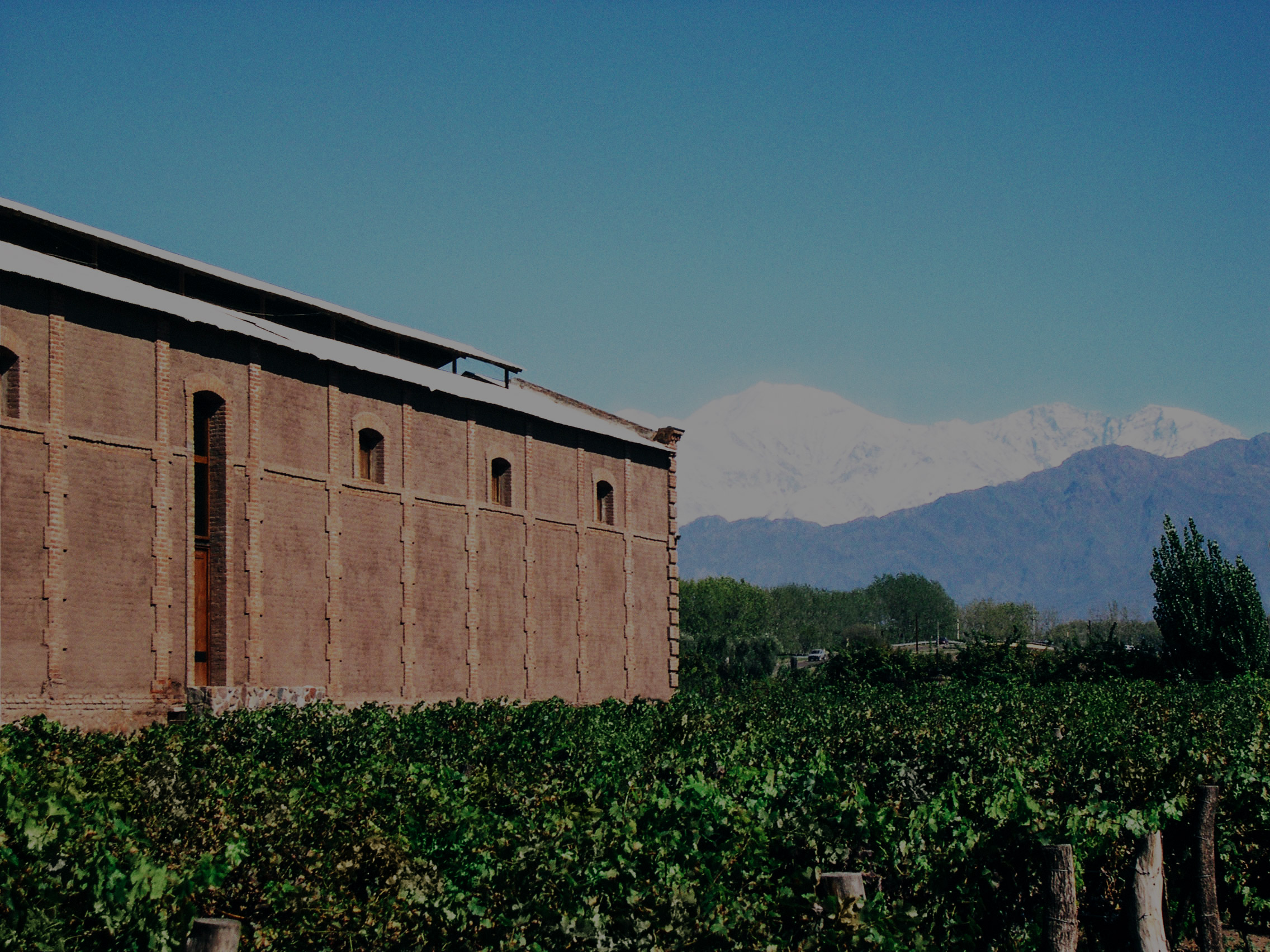 BODEGA BENEGAS