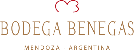 BODEGA BENEGAS