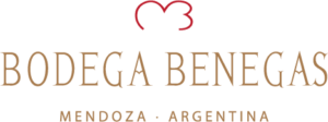 BODEGA BENEGAS