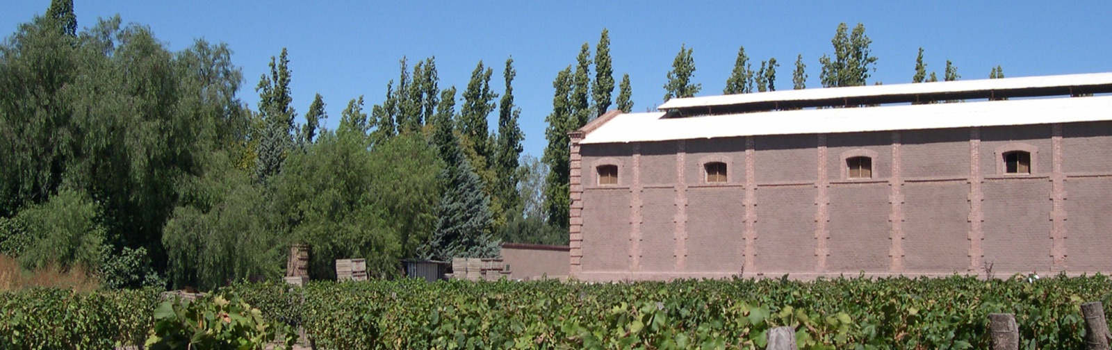 Bodega Benegas