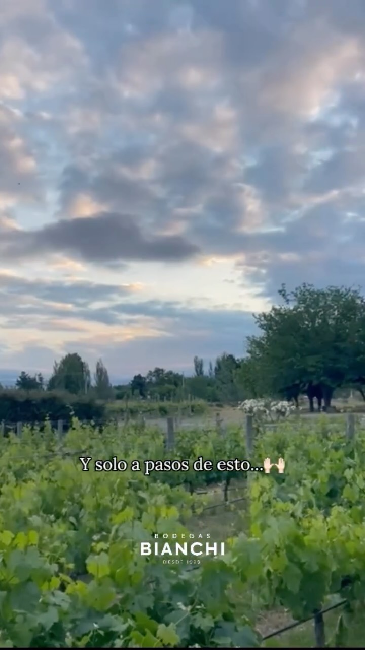 BODEGA BIANCHI - Instagram Post