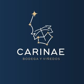 BODEGA CARINAE - Instagram Profile