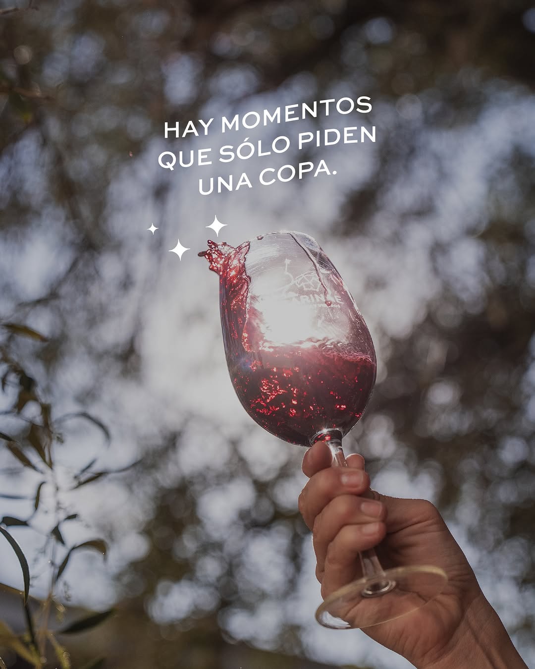 Bodega CarinaE