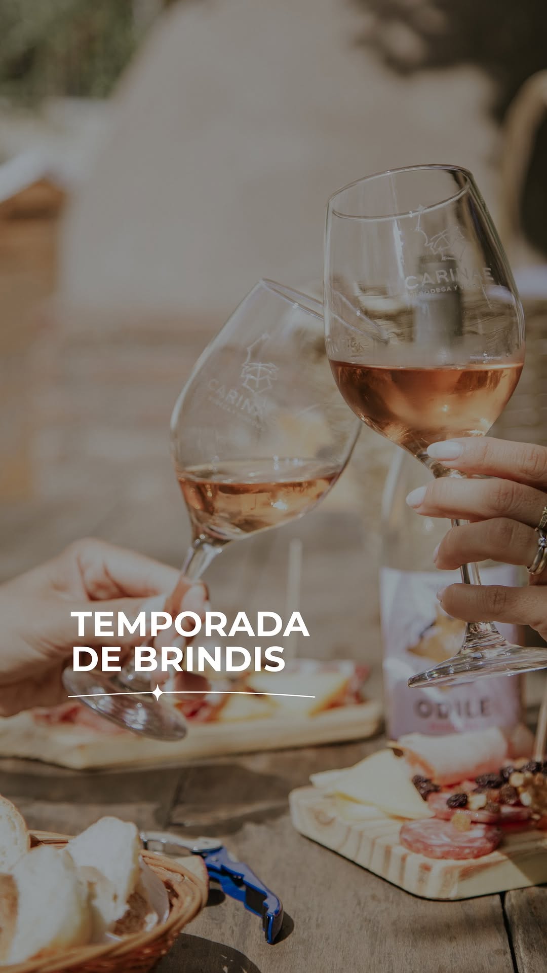 BODEGA CARINAE - Instagram Post