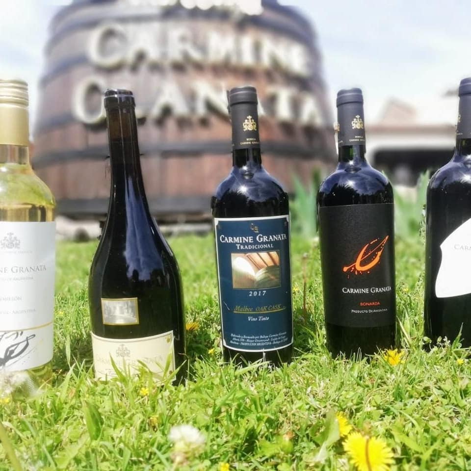 BODEGA CARMINE GRANATA - Instagram Post