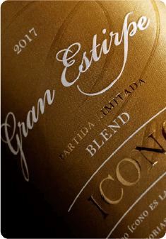 BODEGA CLOS DE CHACRAS