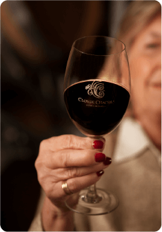 BODEGA CLOS DE CHACRAS