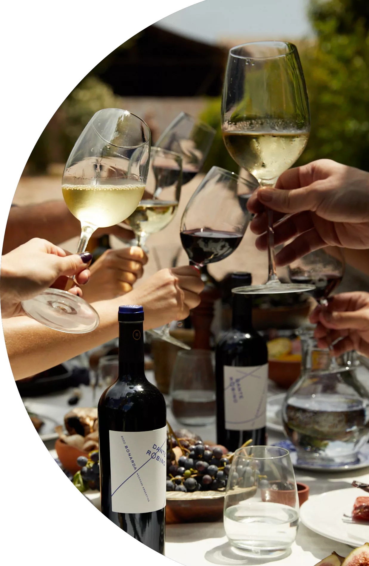 BODEGA DANTE ROBINO