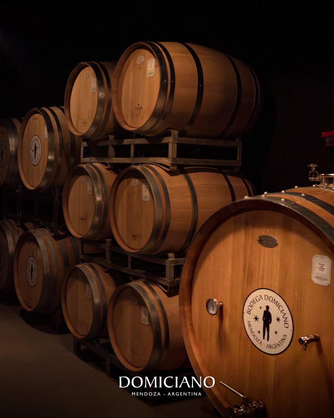 BODEGA DOMICIANO - Instagram Post