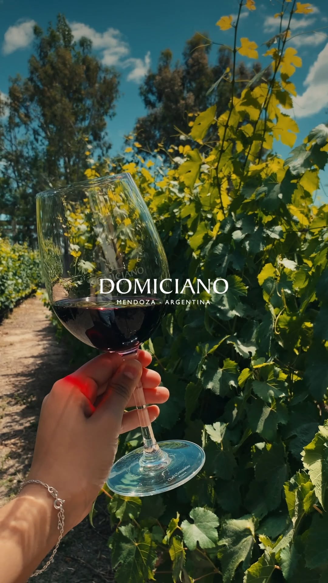 BODEGA DOMICIANO - Instagram Post