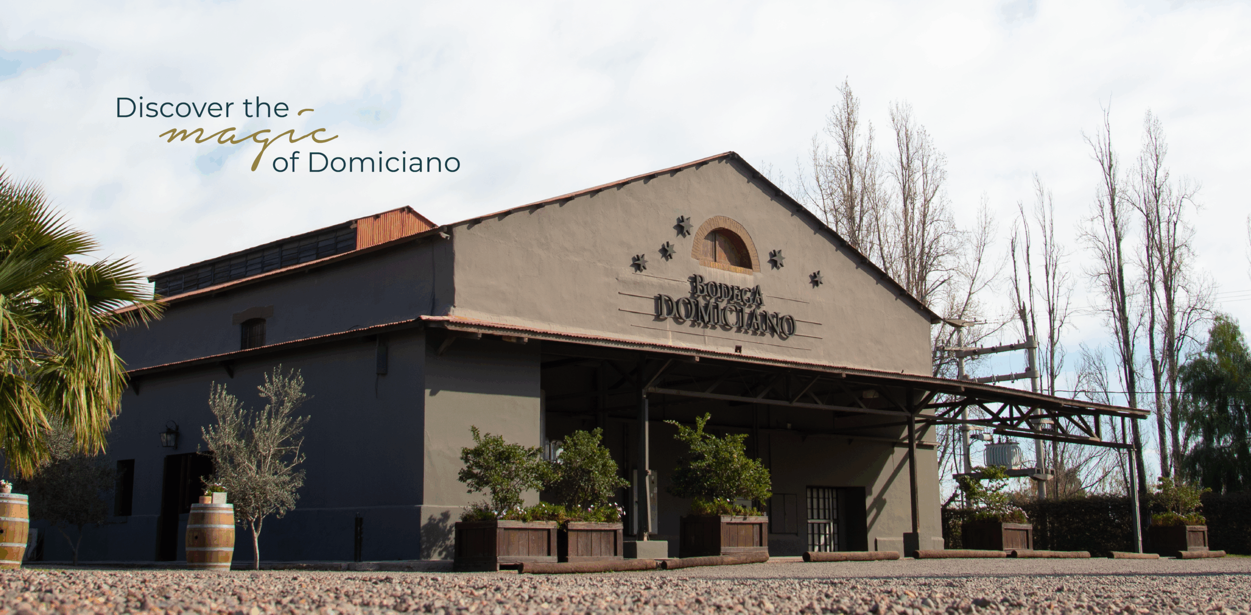 BODEGA DOMICIANO