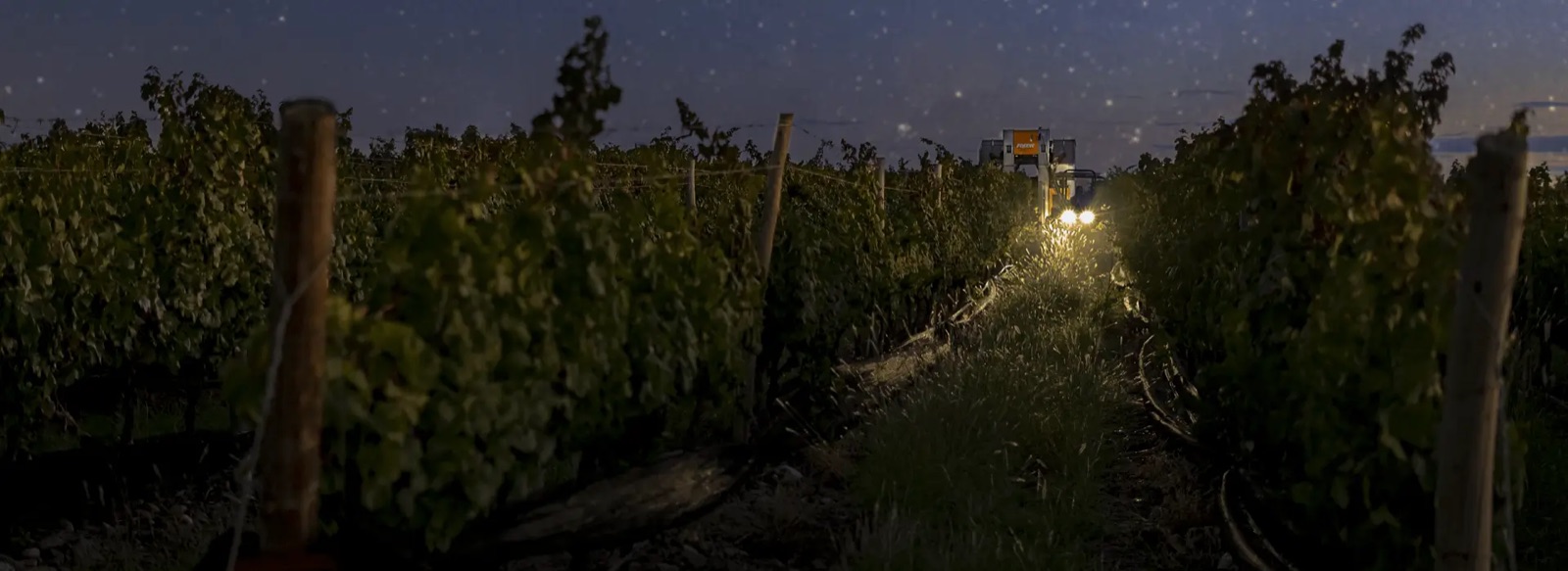 Bodega Domiciano