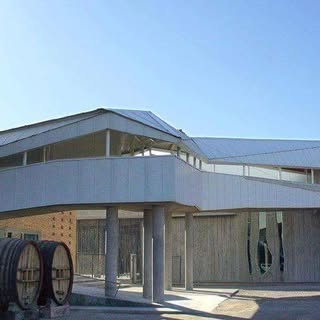 BODEGA DON BOSCO - Instagram Profile
