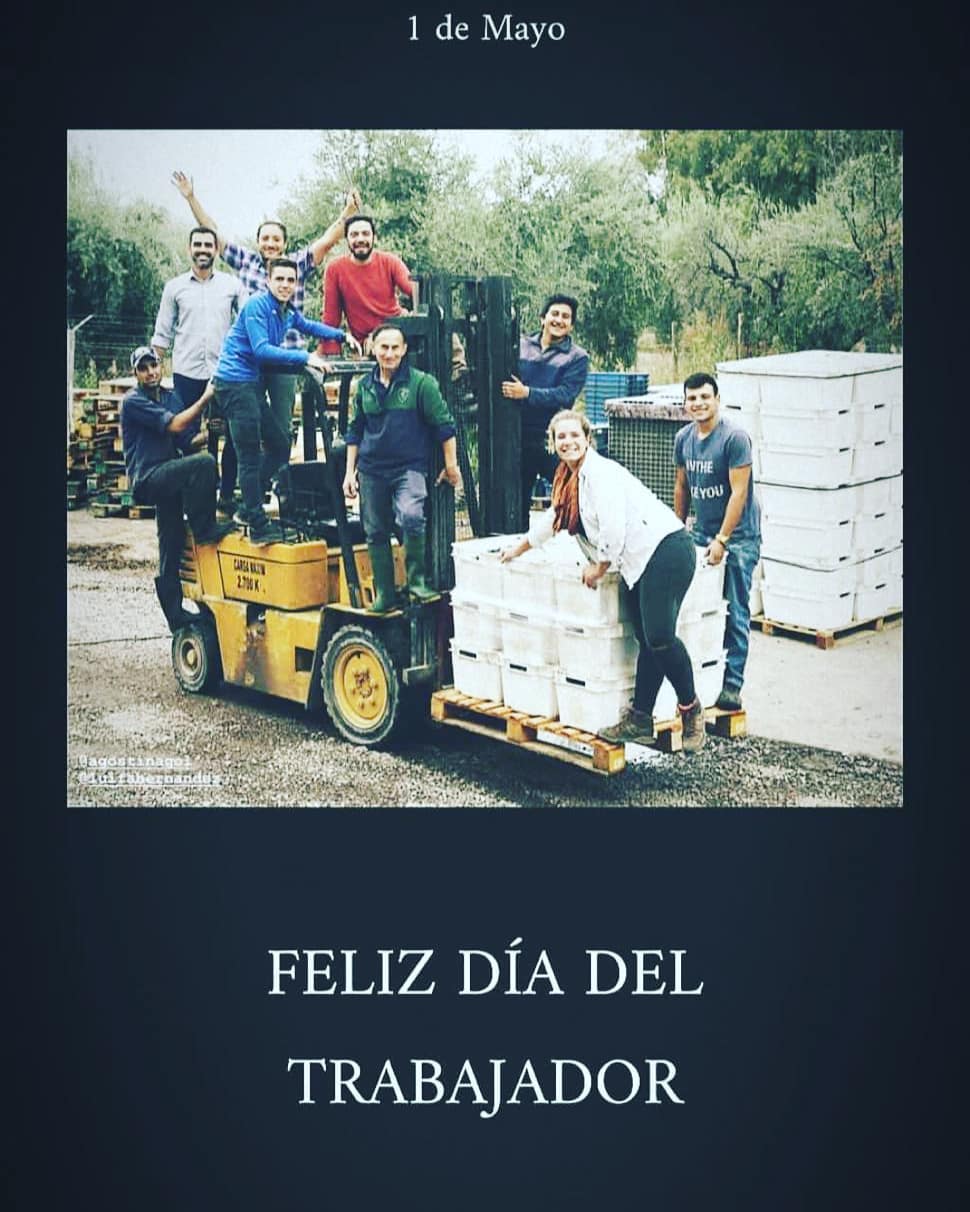 BODEGA DON BOSCO - Instagram Post
