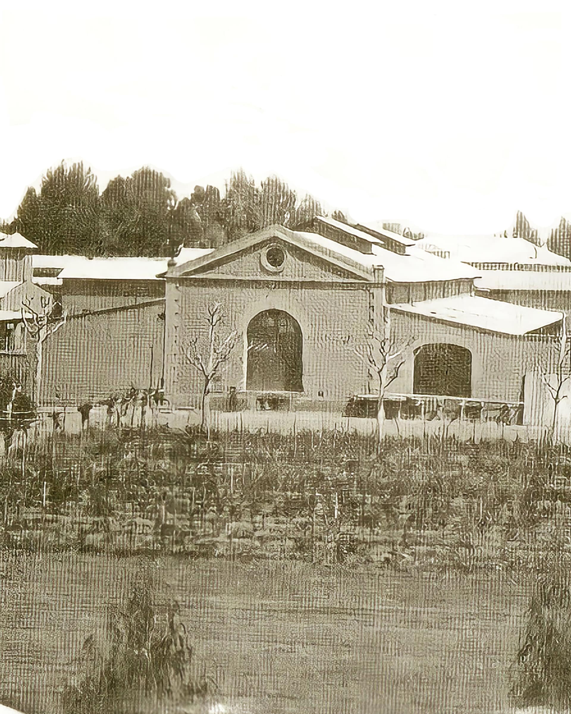 BODEGA DON BOSCO