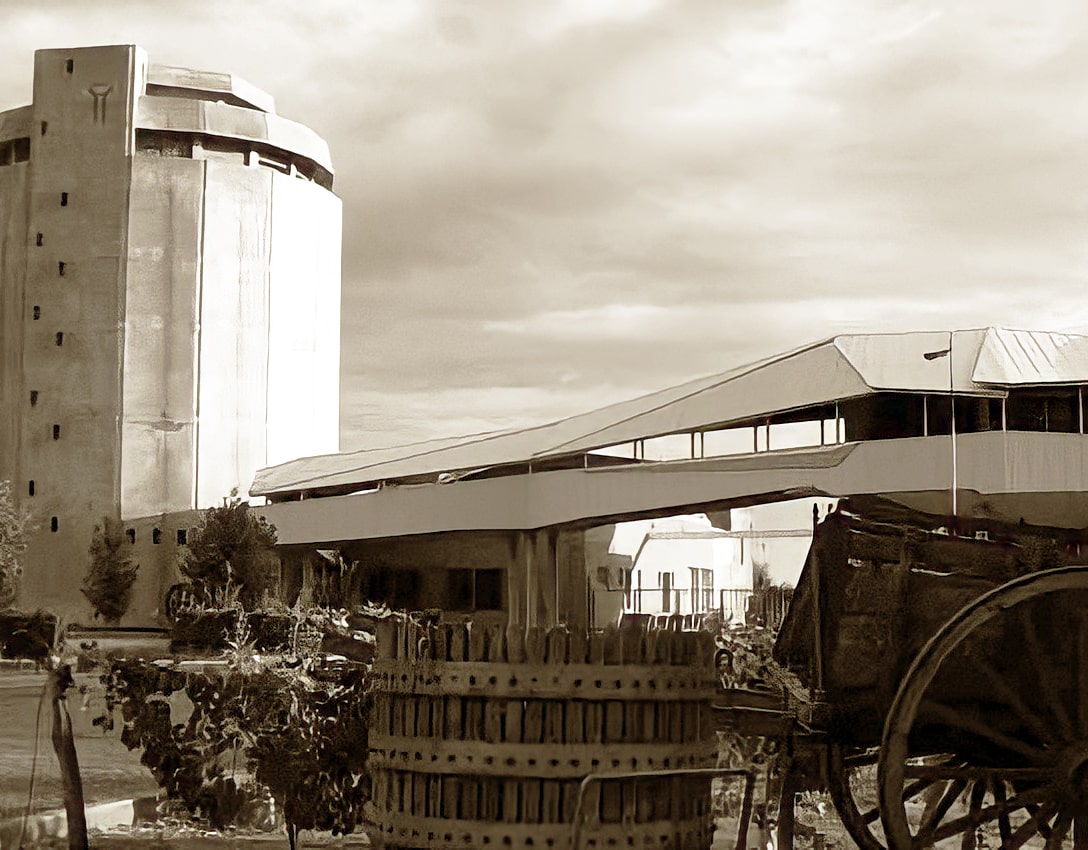 BODEGA DON BOSCO