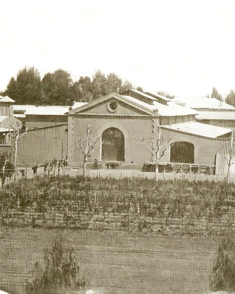 BODEGA DON BOSCO