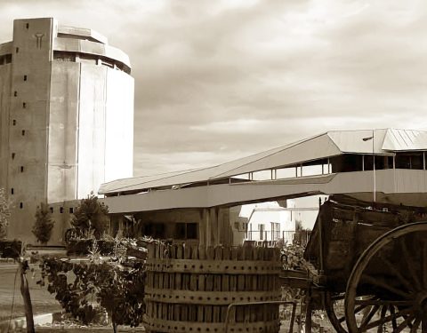 BODEGA DON BOSCO