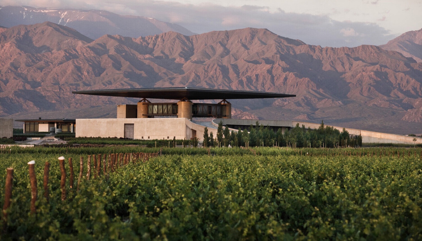 Bodega Finca Agostino