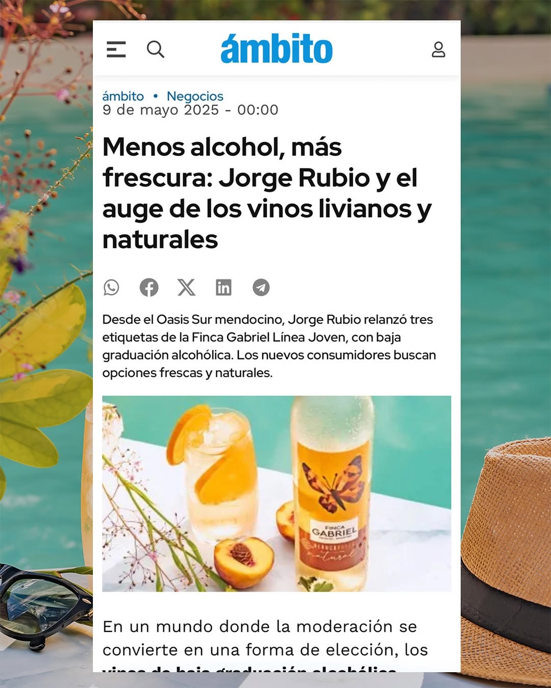 BODEGA FINCA GABRIEL - Instagram Post