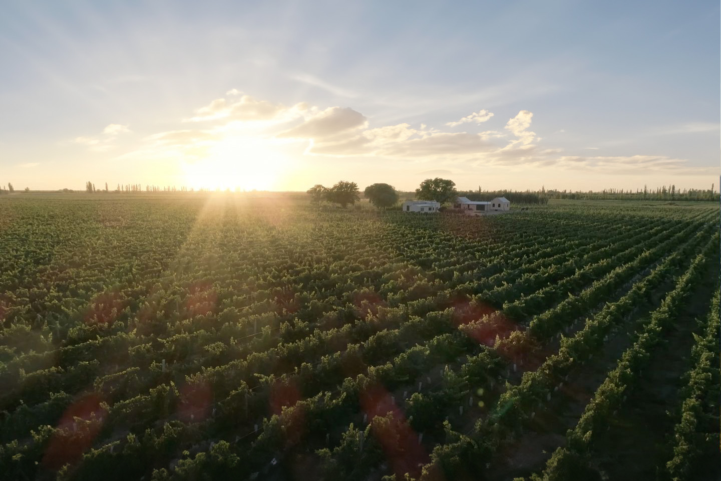 BODEGA FINCA GABRIEL