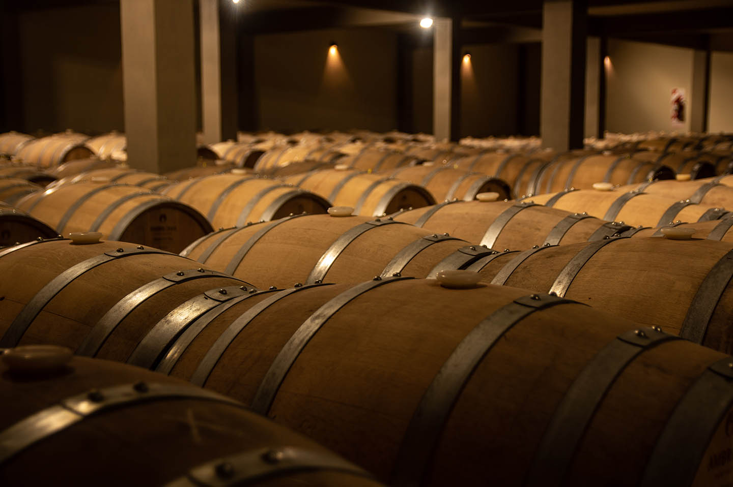 BODEGA FINCA GABRIEL