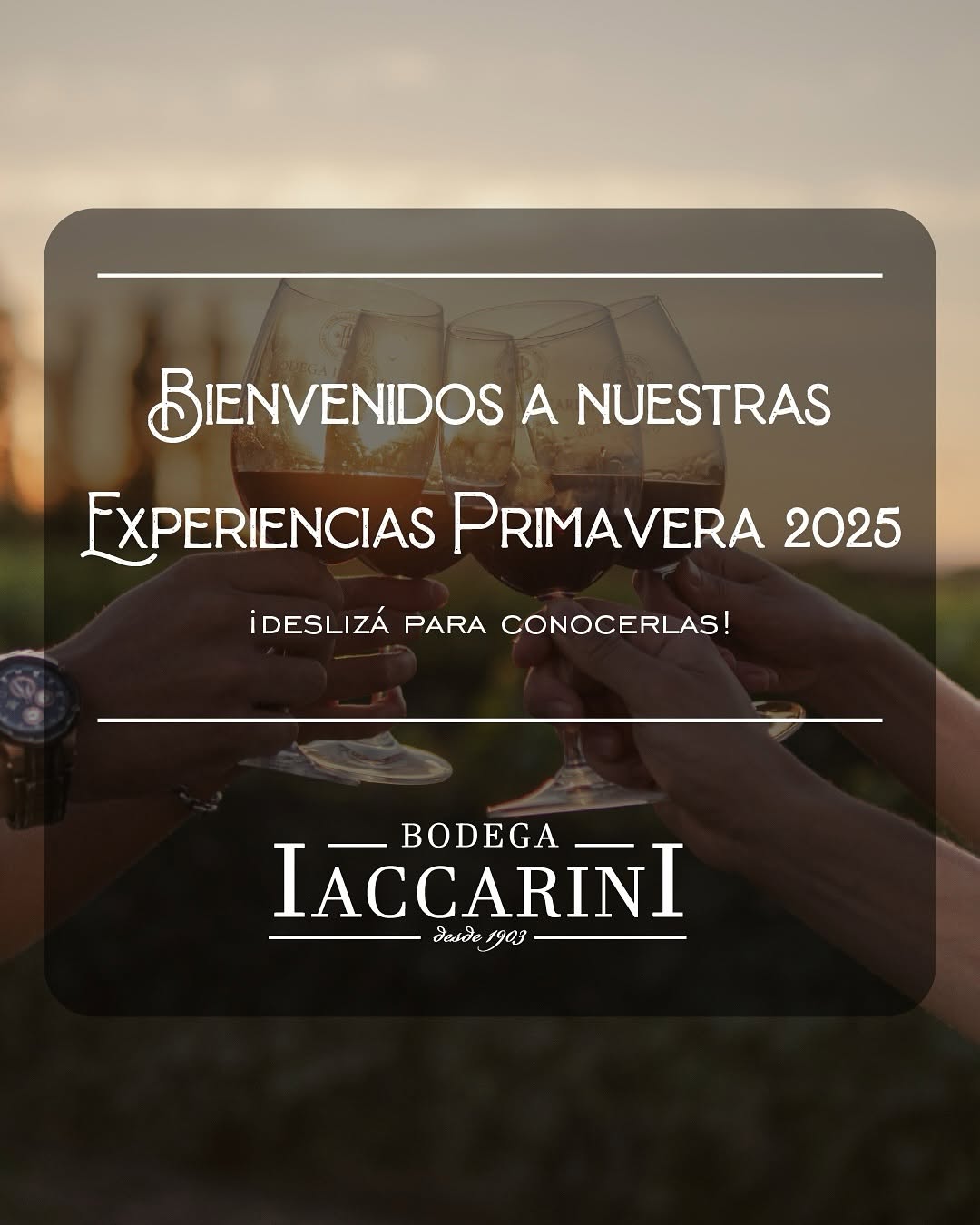 BODEGA IACCARINI - Instagram Post