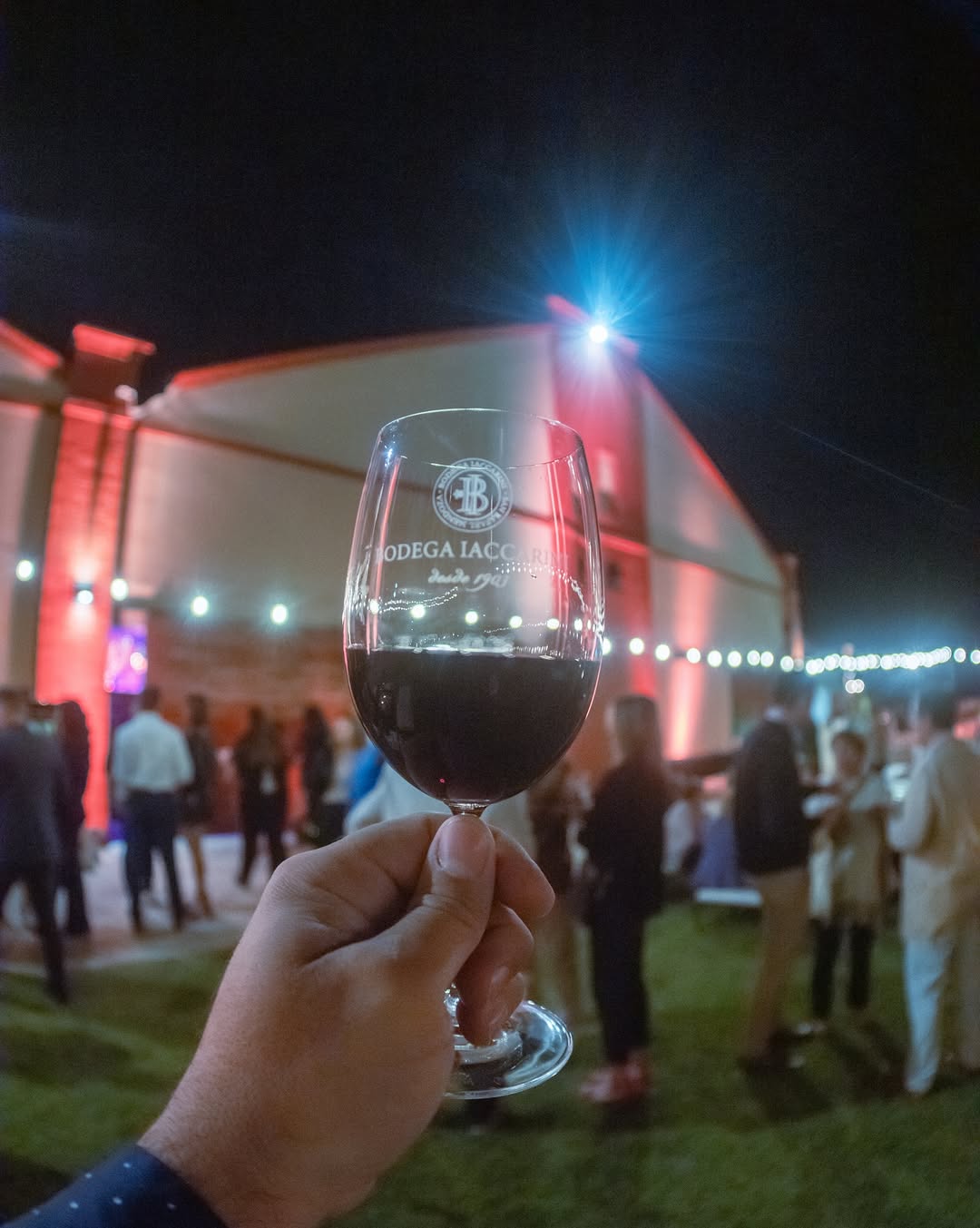 BODEGA IACCARINI - Instagram Post