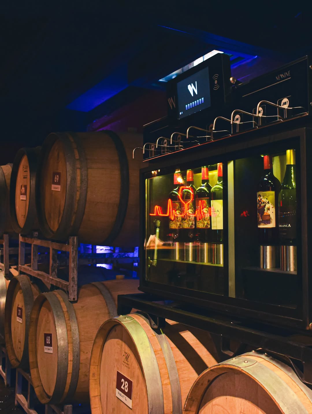 BODEGA IACCARINI - Instagram Post