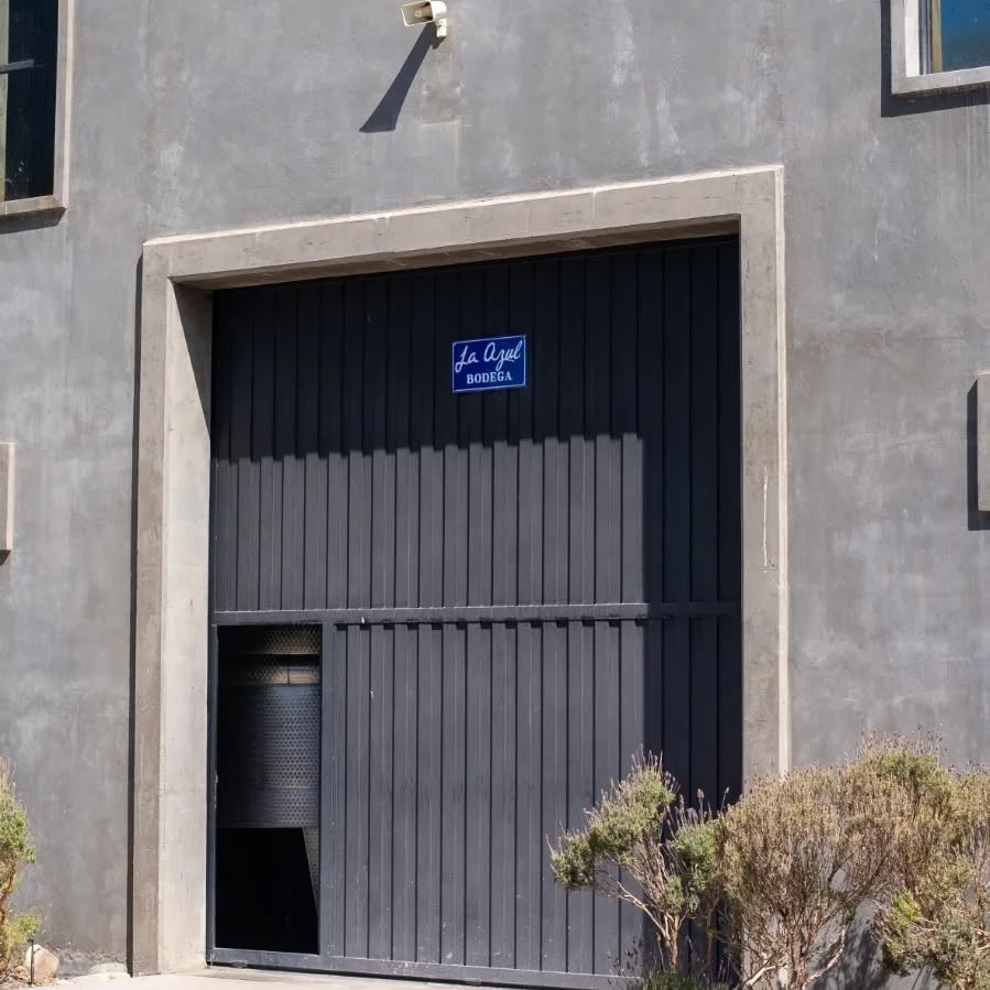BODEGA LA AZUL - Instagram Post