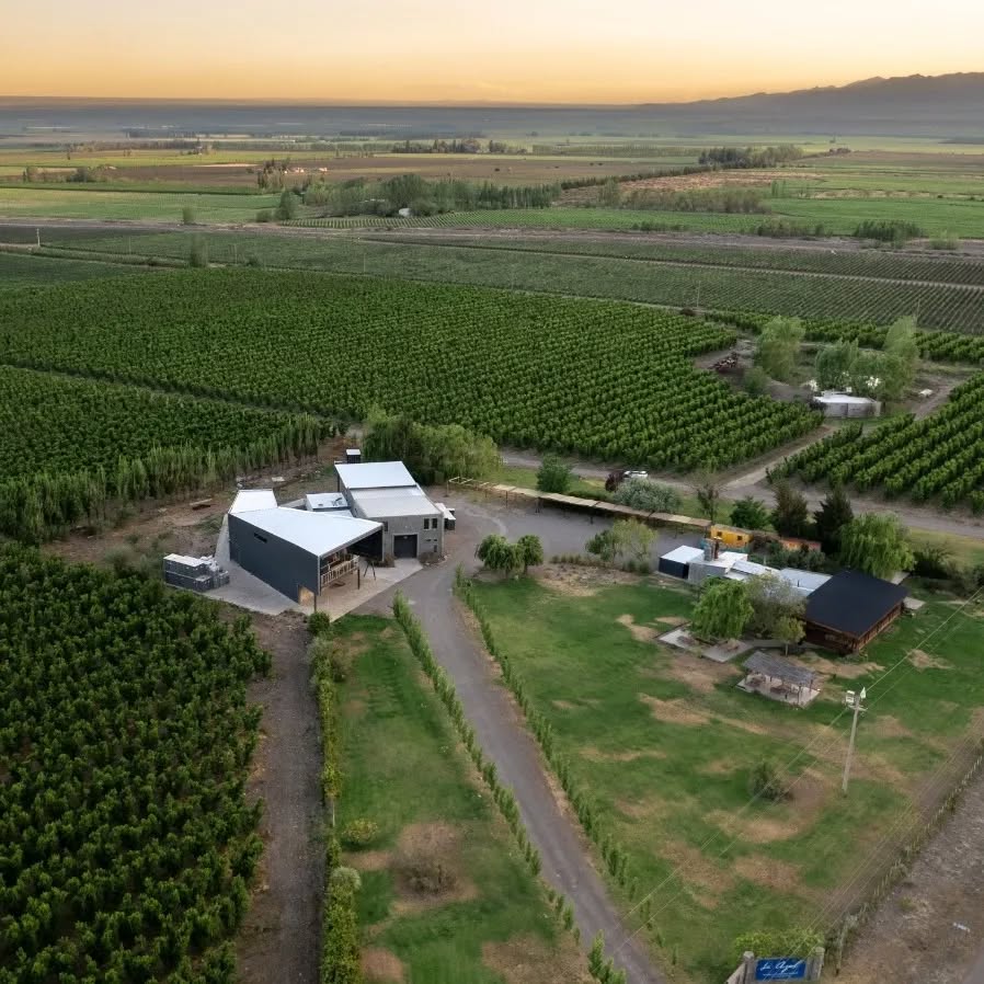 BODEGA LA AZUL - Instagram Post