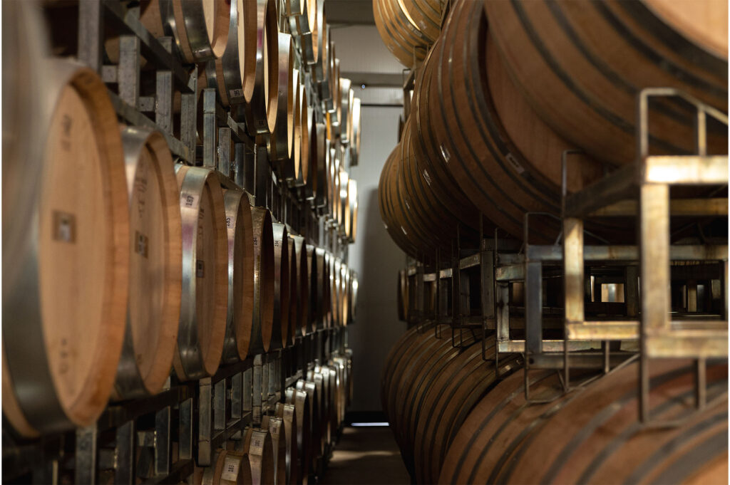 BODEGA LA AZUL