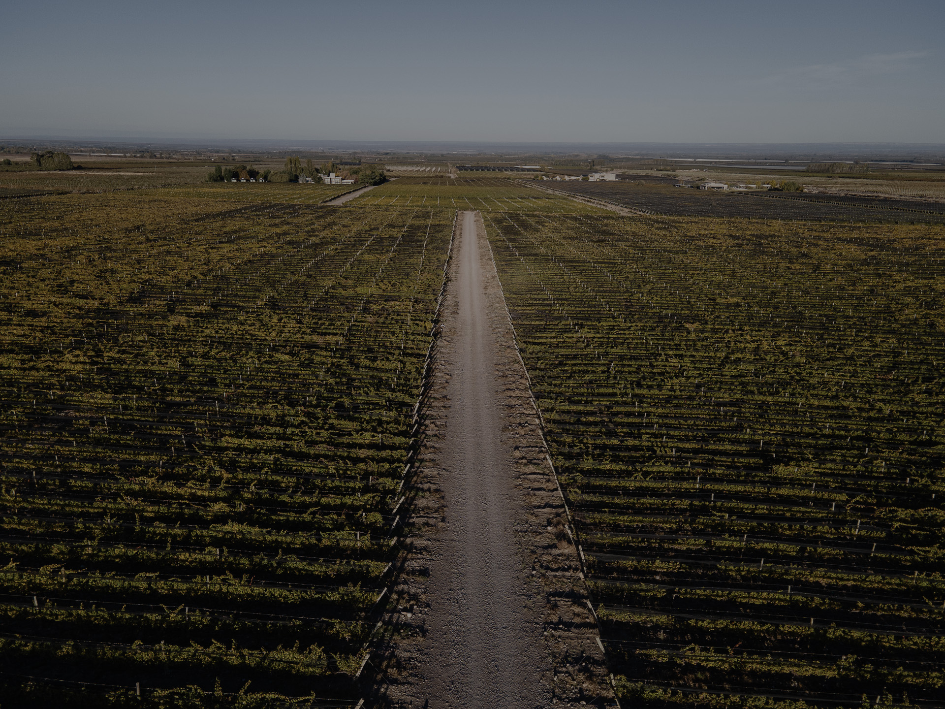 BODEGA LA AZUL