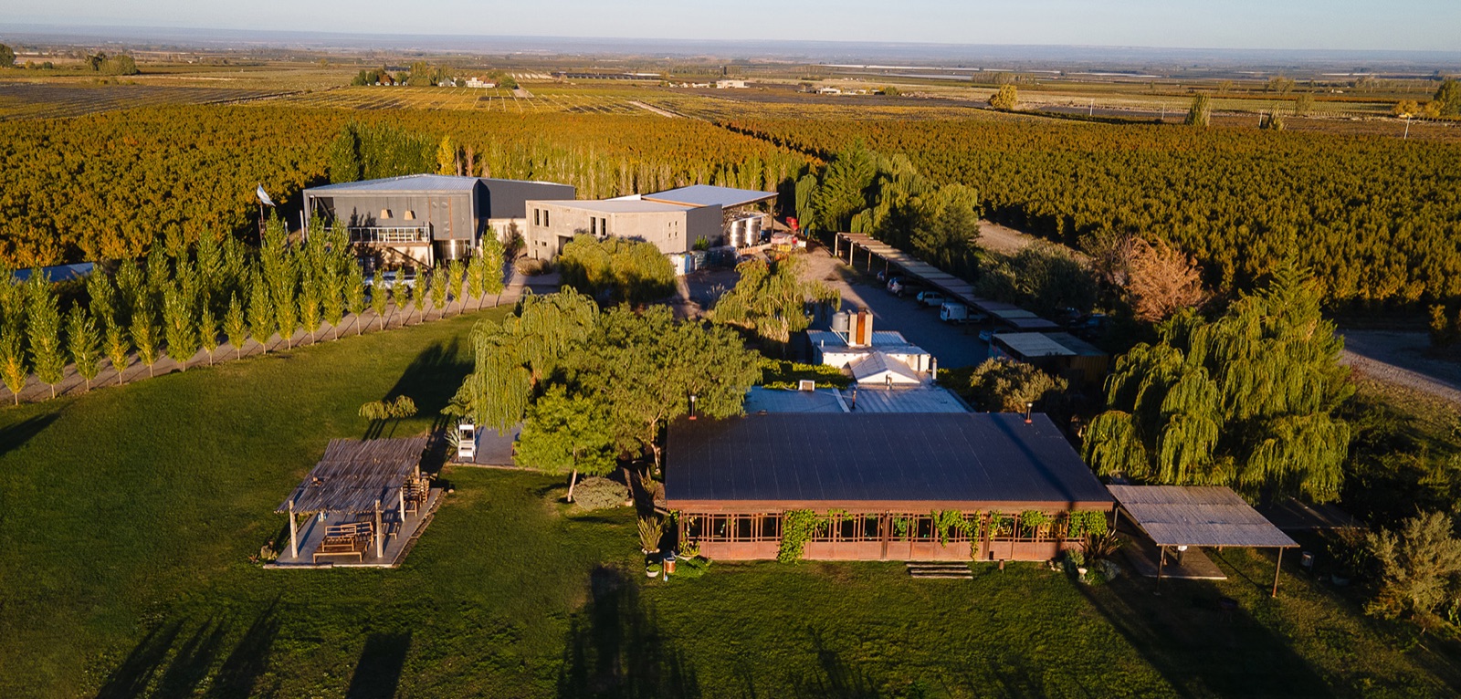 Bodega La Azul